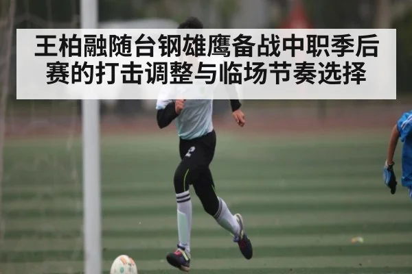 王柏融随台钢雄鹰备战中职季后赛的打击调整与临场节奏选择