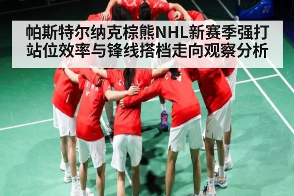 帕斯特尔纳克棕熊NHL新赛季强打站位效率与锋线搭档走向观察分析（kaiyun sports）
